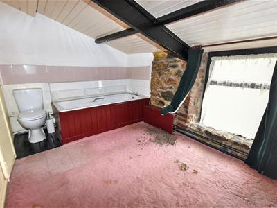 Picture 8